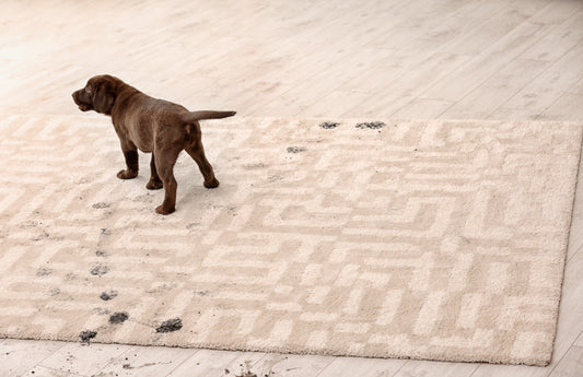 Best Mat To Stop Muddy Paws