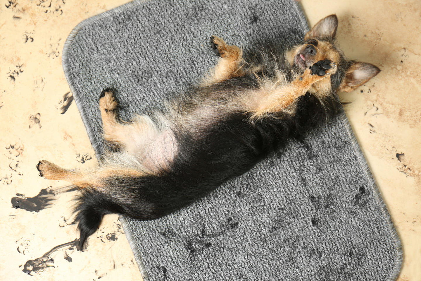 Muddy Mat sizes, Dog Mat Sizes Muddy Mat®