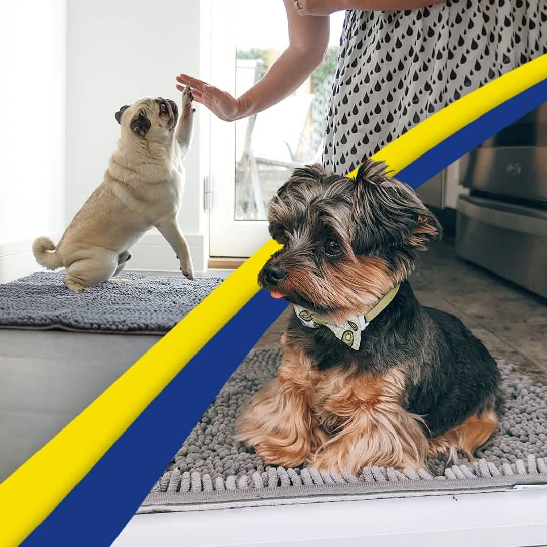 Muddy Mat® - Anti-Mud Dog Door Mat - Pack of 4