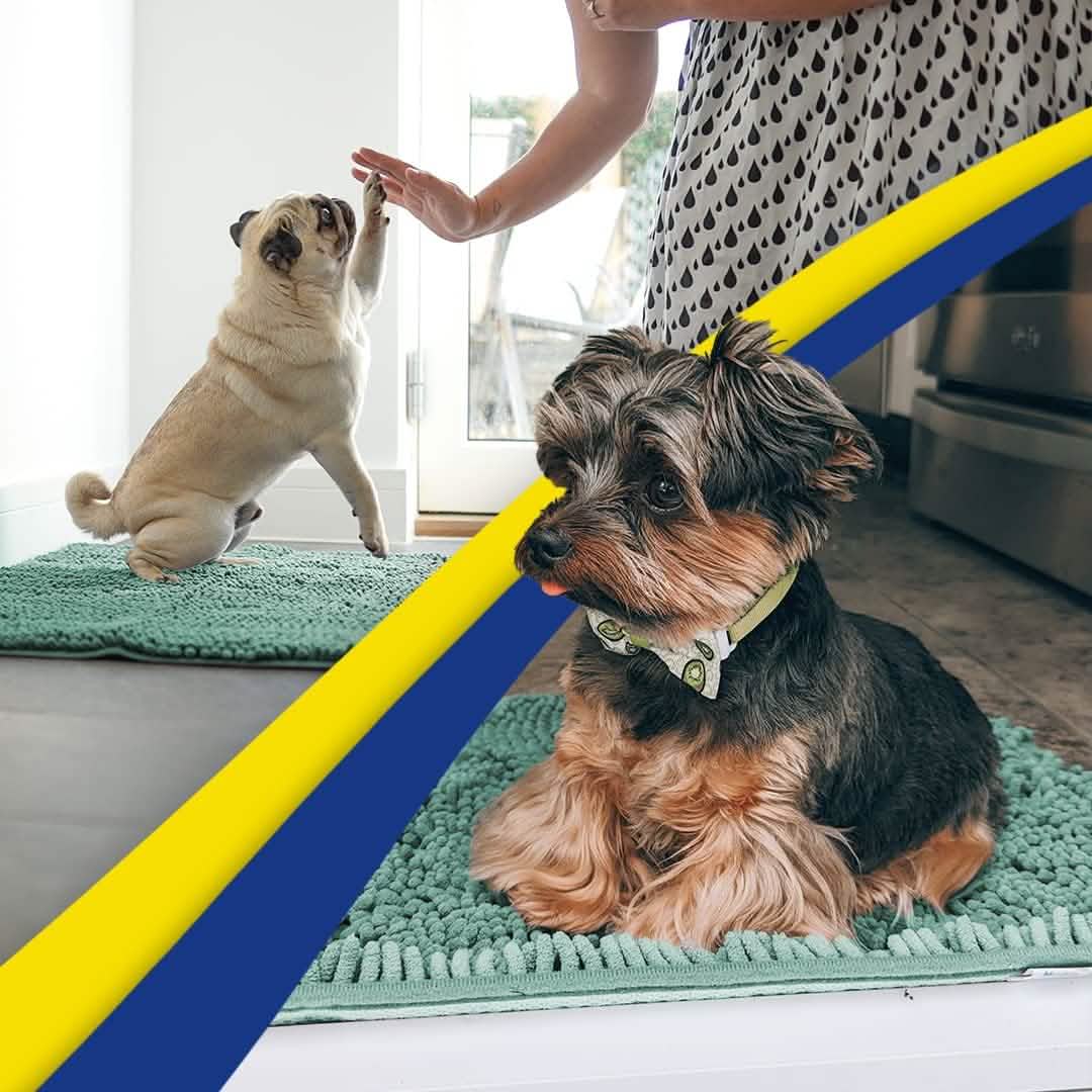 Muddy Mat® - Anti-Mud Dog Door Mat - Pack of 4