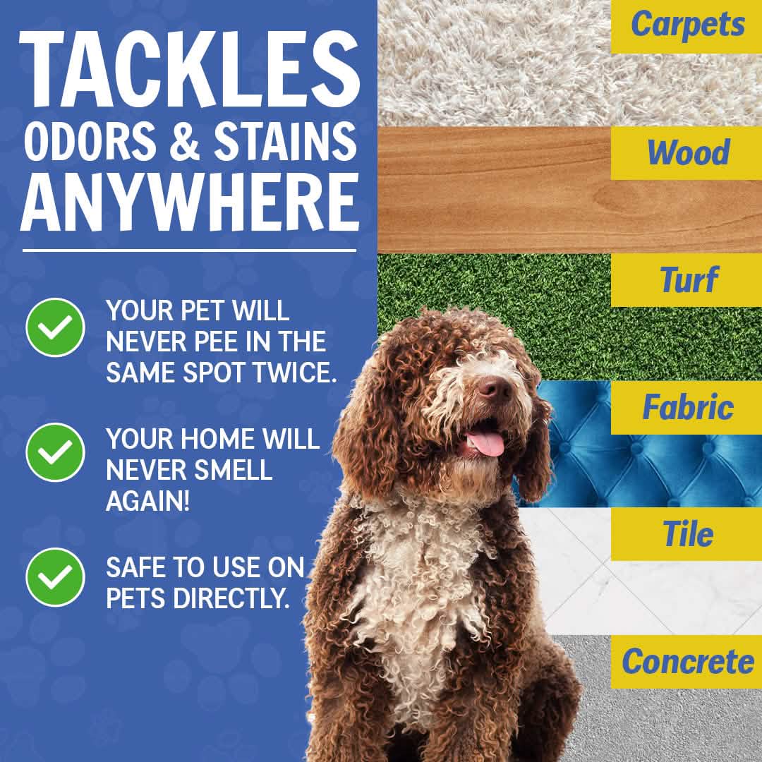 Wizz – Natural Pet Odor Eliminator