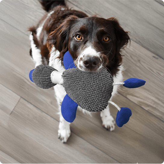 Muddy Mat Duck Dog Toy – Indestructible Dog Toy for Indoor & Outdoor Play – Durable Chenille Plush Dog Toys for Aggressive Chewers, Safe & Fun for All Breeds