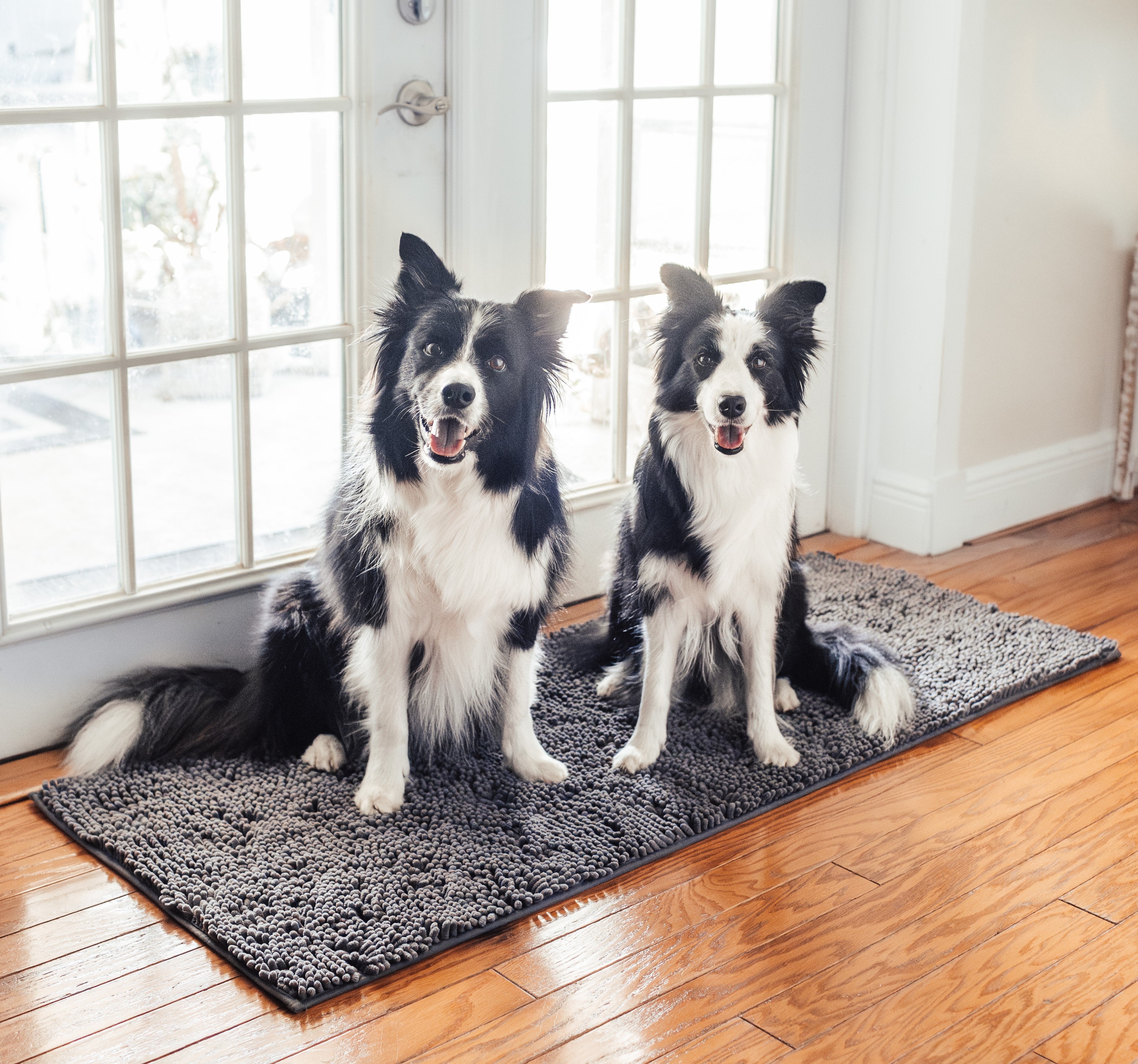 Absorbent Rugs Absorbent Rugs for Dogs | The Ultimate Pet Door Mat Guide – Muddy Mat®