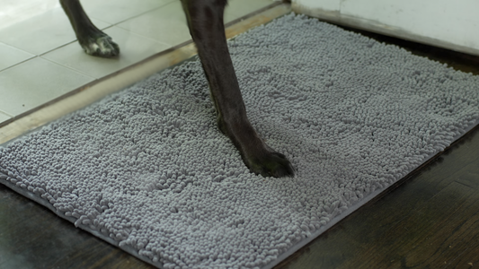 How to stop muddy paws in house