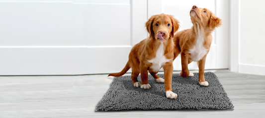 The Best Holiday Gifts for Dog Owners: Muddy Mat