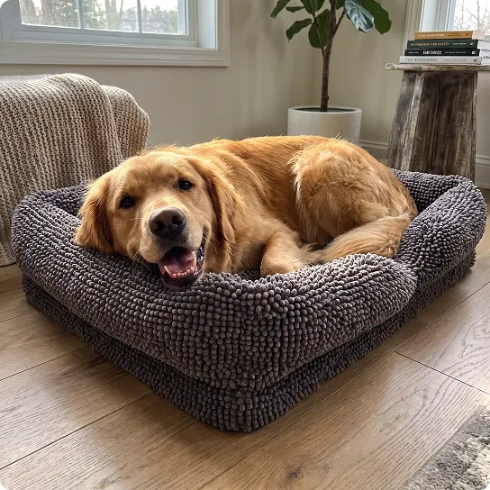 Front view of a gray textured rectangular dog bed showcasing raised sides with a golden retriever resting indoors