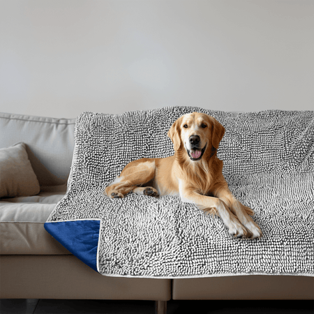 how to clean dog blankets