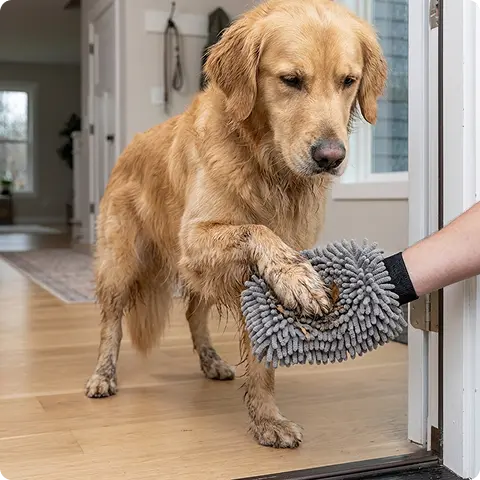 Stops Mud At The Door