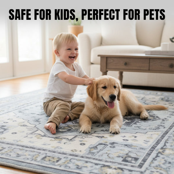 Muddy Mat® Azure Washable Area Rugs for Living Room, Bedroom & Dining Room – Modern Soft Low Pile Non Slip Carpet – Pet Friendly Waterproof Foldable Rugs for Home