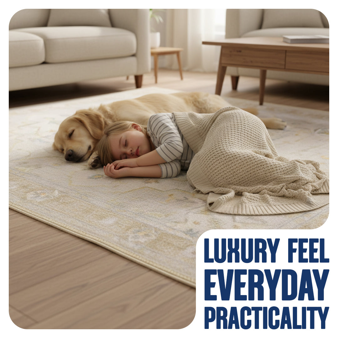 Muddy Mat® Champagne Washable Area Rugs for Living Room, Bedroom & Dining Room – Modern Soft Low Pile Non Slip Carpet – Pet Friendly Waterproof Foldable Rugs for Home