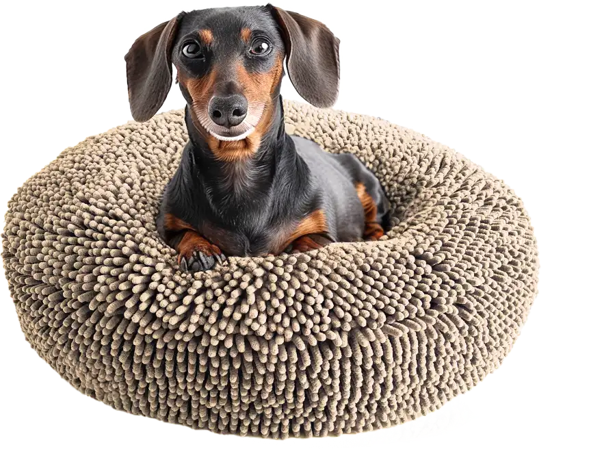 Cloud K-9 Bed – Anxiety Bed for Dogs