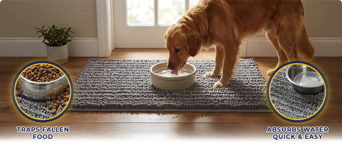 Tired of Cleaning Up the Same Mess Every Day?