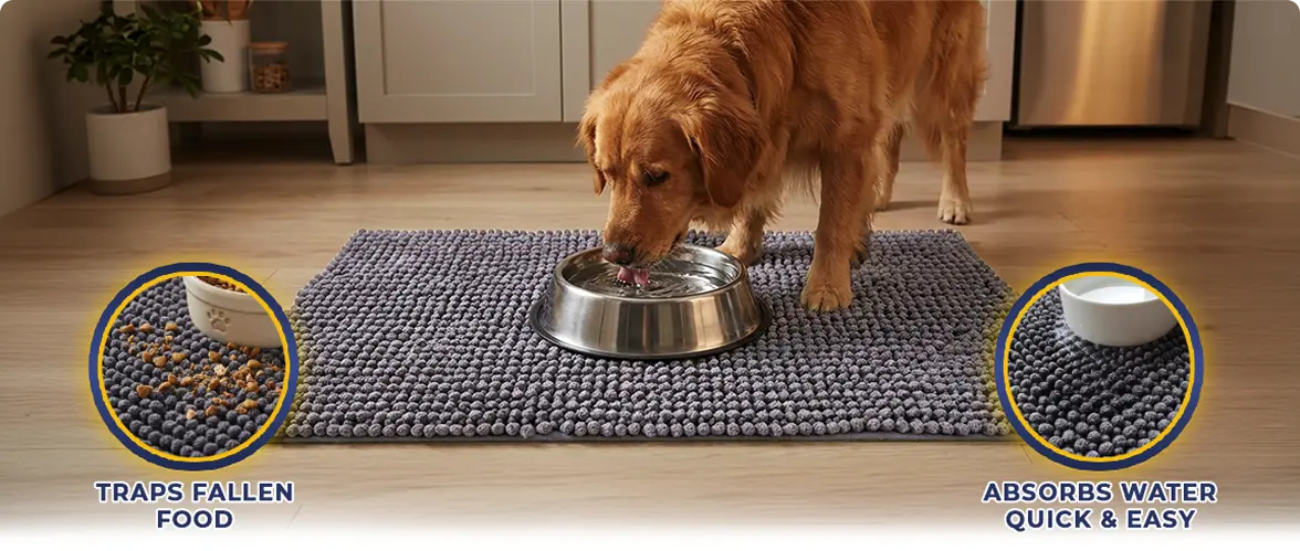 Tired of Cleaning Up the Same Mess Every Day?