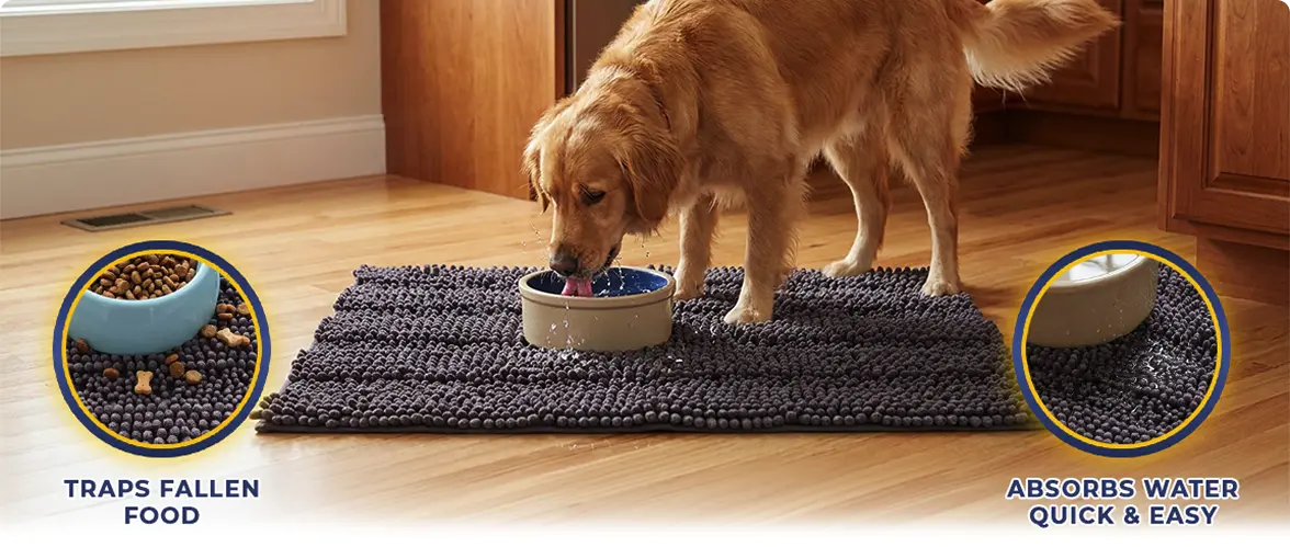 Tired of Cleaning Up the Same Mess Every Day?