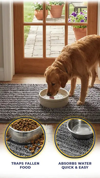 Tired of Cleaning Up the Same Mess Every Day?