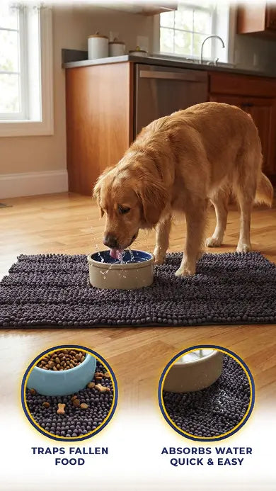 Tired of Cleaning Up the Same Mess Every Day?