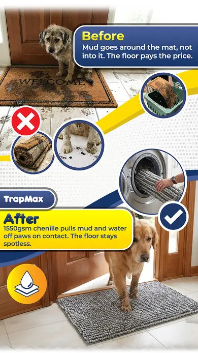 Same Dog. Same Mud. Different Floor