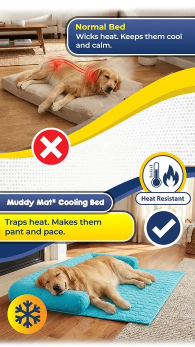 Stop Watching Your Dog Pant on the Kitchen Tile Because It's the Only Cool Spot
in the House