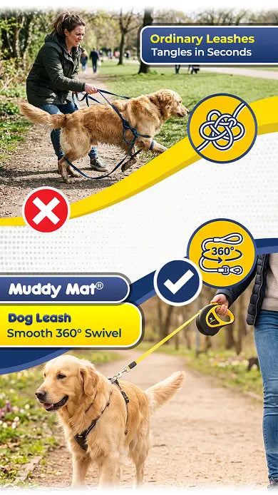 Stop Getting Yanked, Tangled, and Worn Out on Every Walk