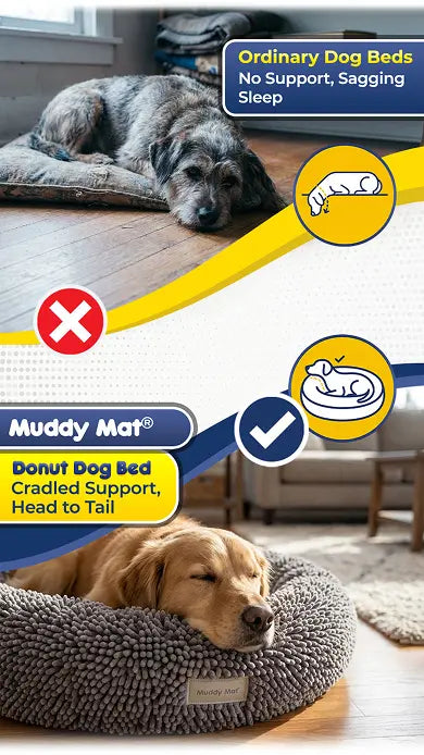 Real Support For Their Back And Neck
