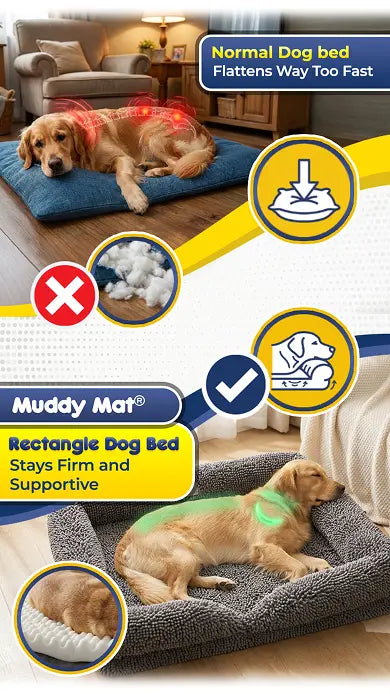 Comfort That Actually Supports Your Dog's Body
