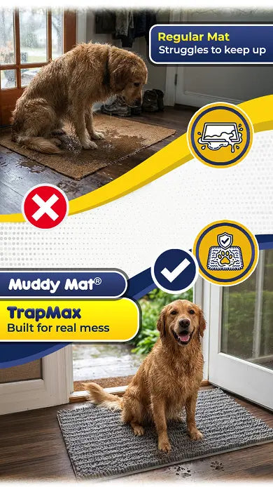 Protect Your Floors from Even the Muddiest Paws