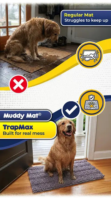 Protect Your Floors from Even the Muddiest Paws