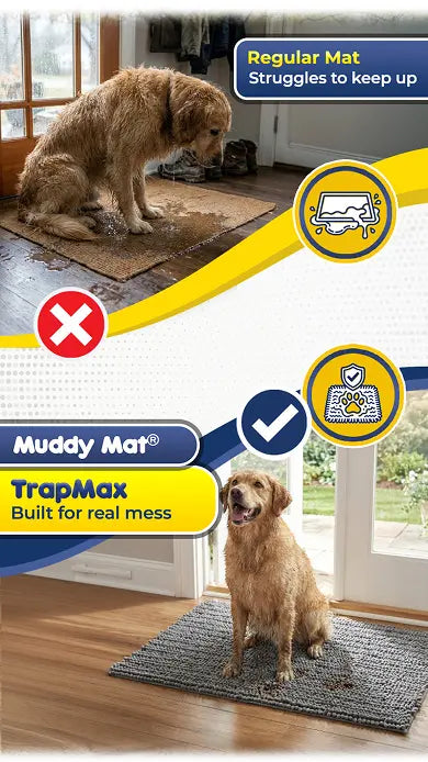Protect Your Floors from Even the Muddiest Paws