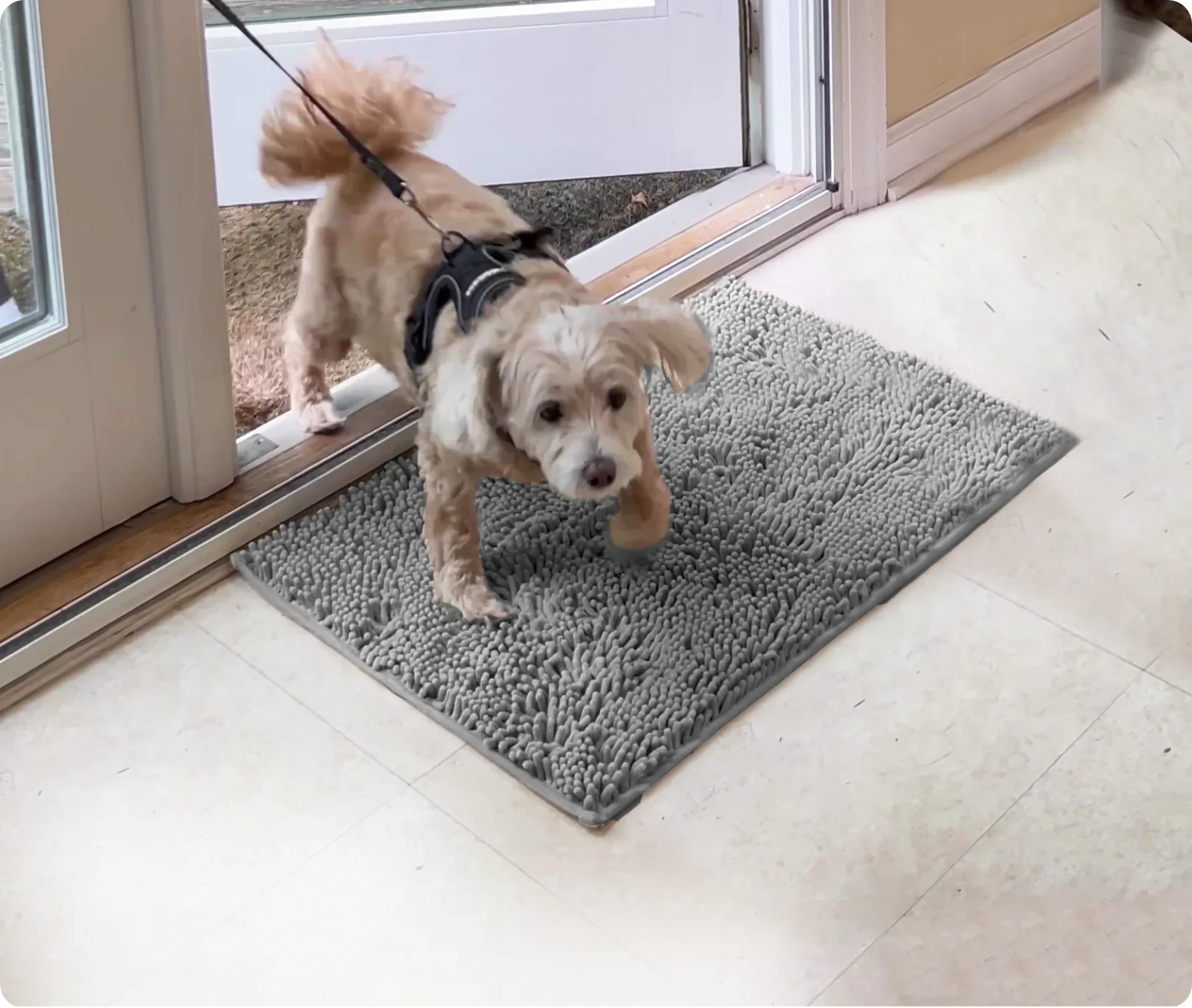 Dog Mat Dog Door Mat Muddy Mat