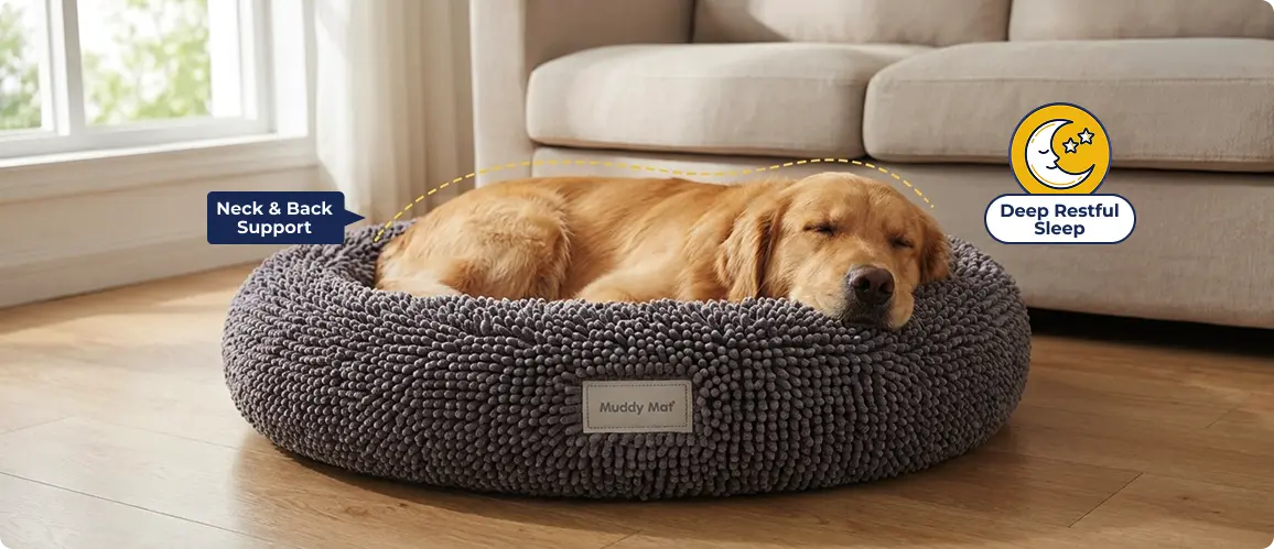 Comfort That Lasts All Nap Long