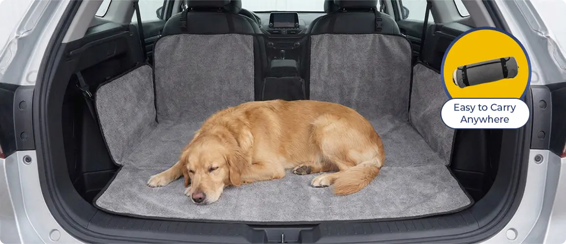 Ready to Roll, Wherever You Go