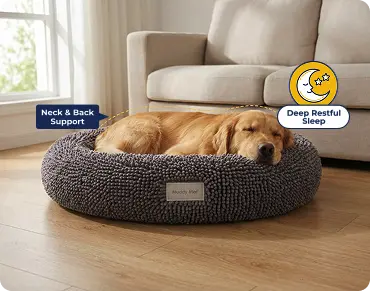 Comfort That Lasts All Nap Long