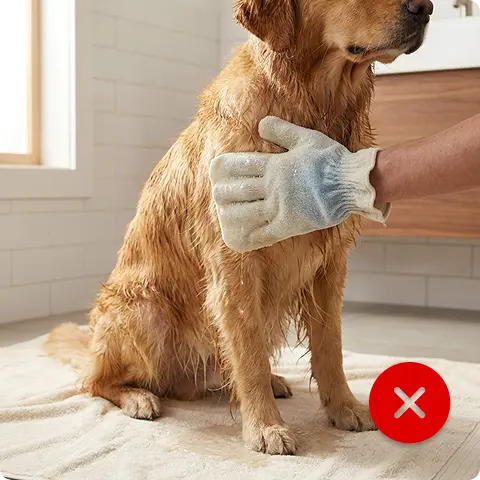 The Cheap Glove