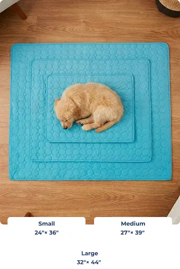 Find the Perfect Muddy Mat® Cooling Mat for Your Dog