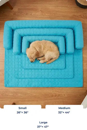 Find the Perfect Muddy Mat® Cooling Bed for Your Dog
