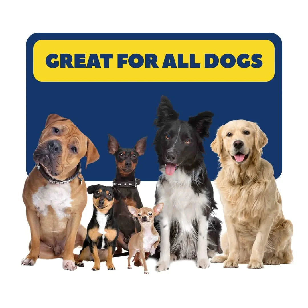 Wizz : Pet Natural Foam Cleaner - 7 oz