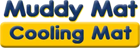 Introducing
