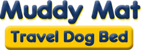 Introducing