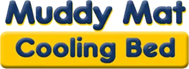 Introducing