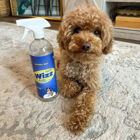 Wizz – Natural Pet Odor Eliminator
