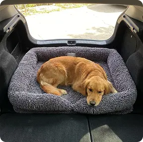 Car trunk