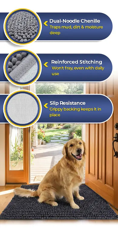 Tough Enough for Daily Paw Traffic