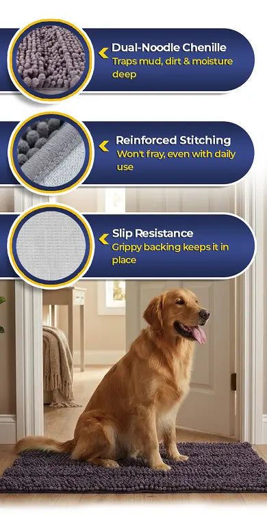 Tough Enough for Daily Paw Traffic