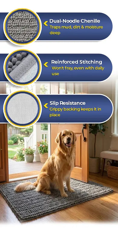 Tough Enough for Daily Paw Traffic