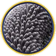 Ultra-Soft Chenille