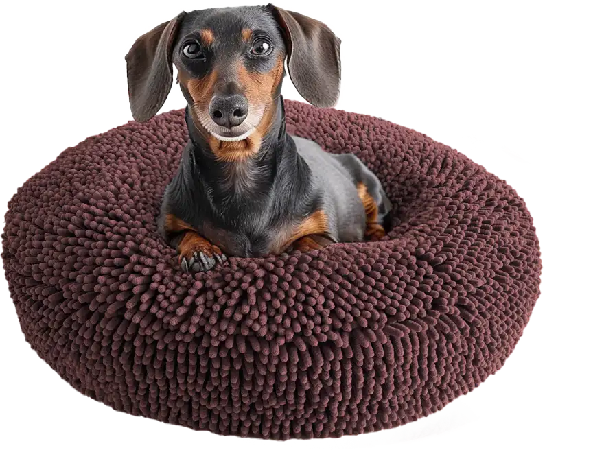 Cloud K-9 Bed – Anxiety Bed for Dogs