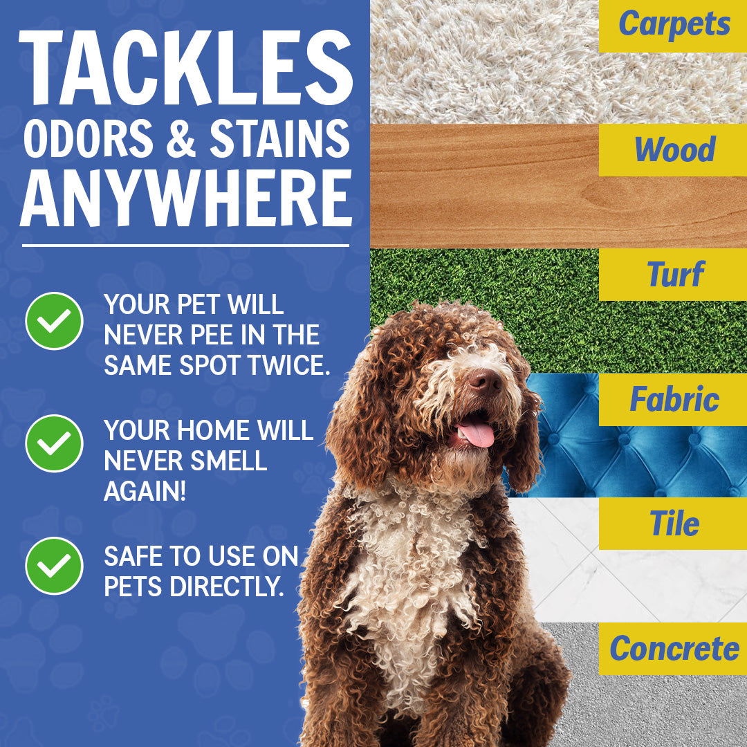 Best Pet Odor Eliminator Pet Stain Eliminator Muddy Mat best-pet-odor-eliminator-pet-stain-eliminator-muddy-mat