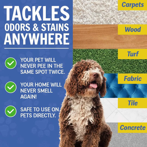 Wizz – Natural Pet Odor Eliminator