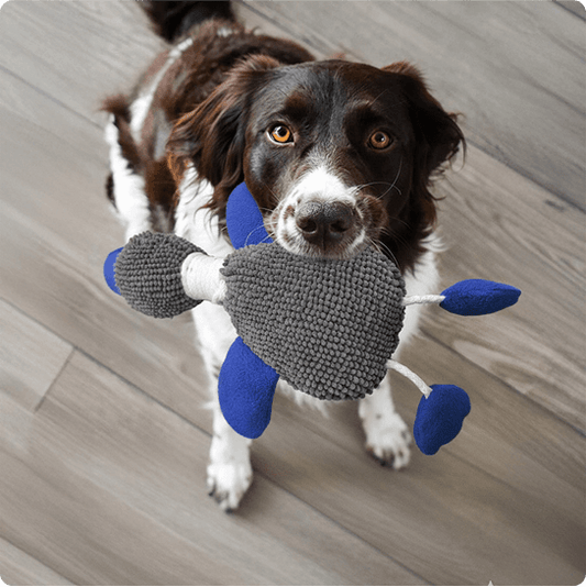 Muddy Mat Duck Dog Toy – Indestructible Dog Toy for Indoor & Outdoor Play – Durable Chenille Plush Dog Toys for Aggressive Chewers, Safe & Fun for All Breeds