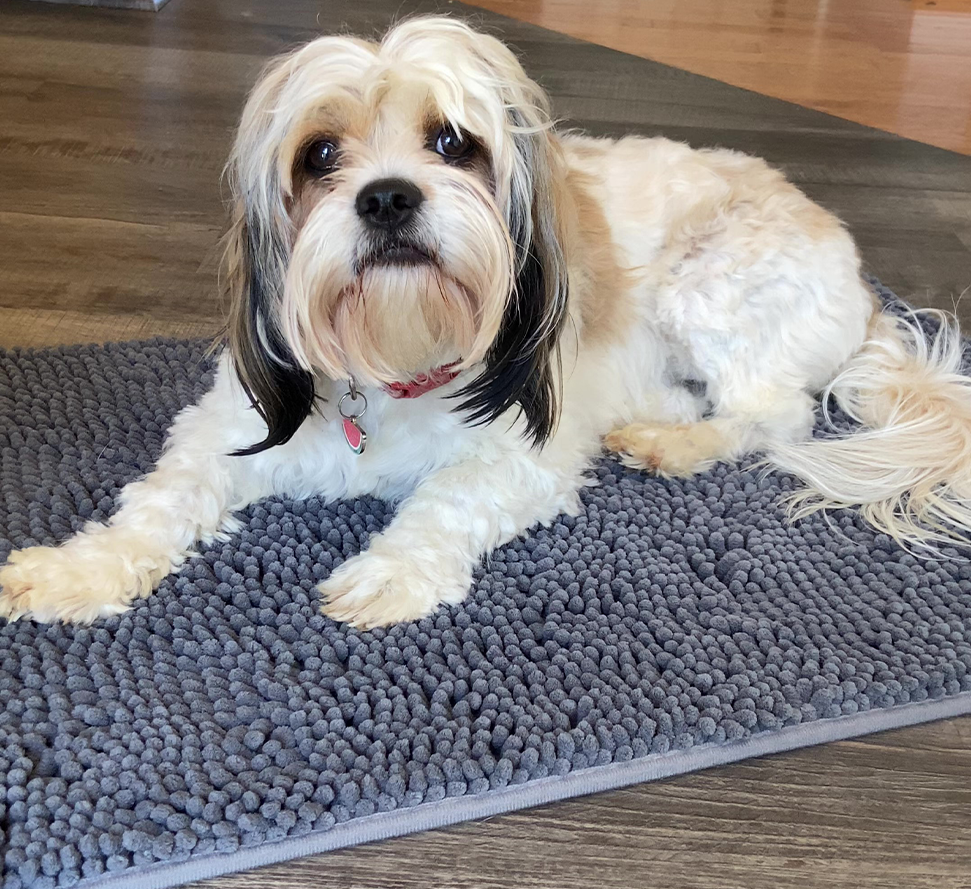 Dog Door Mat